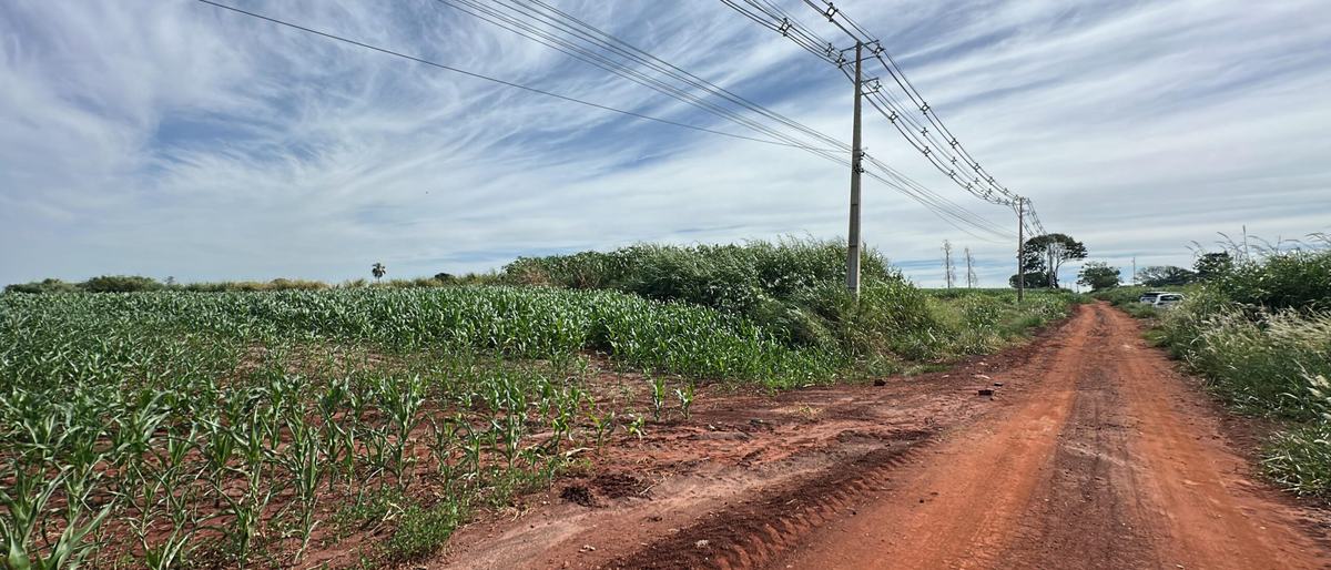 Área bruta com acesso por estrada, cercada por lavoura, na saída de Maringá