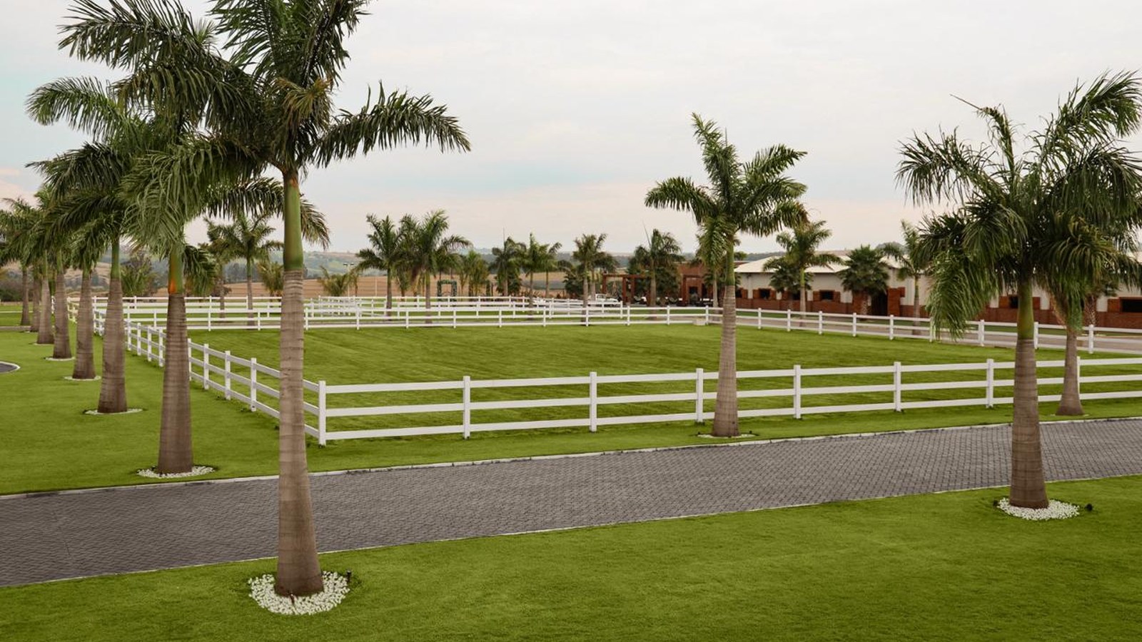 Haras de alto padrão à venda em Marialva